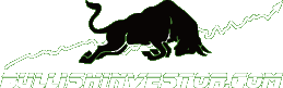 BullishInvestor Logo